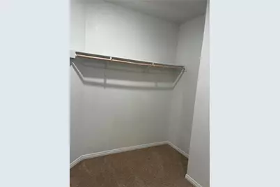 164 Alamo Vine Court, Kyle, TX 78640 - Photo 15