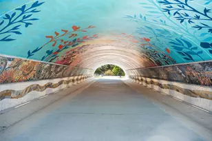 1605 Willow St, Austin, TX 78702 - Photo 35