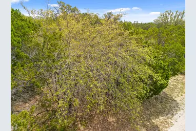 6711 Bar K Clubhouse Court, Lago Vista, TX 78645 - Photo 37