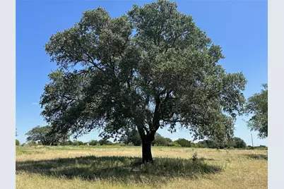 Lot 231 Winecup Drive, Lampasas, TX 76550 - Photo 5