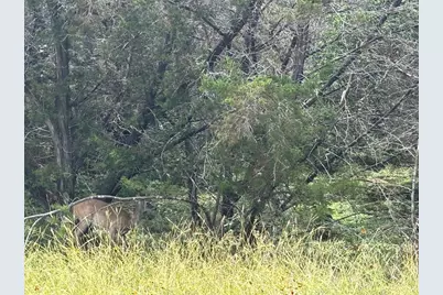 1575 Eastview Drive, Canyon Lake, TX 78133 - Photo 11