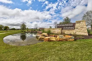 14405 Bonellis Pass, Elgin, TX 78621 - Photo 11