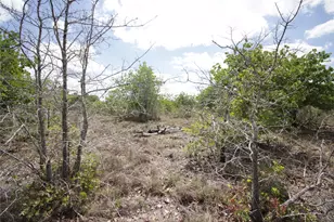 Tbd River Forest Dr, Bastrop, TX 78602 - Photo 3