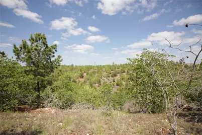 Tbd River Forest Drive, Bastrop, TX 78602 - Photo 5