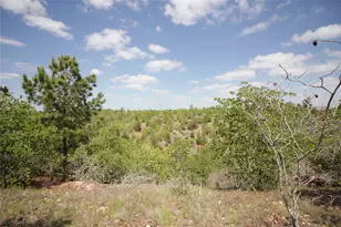 Tbd River Forest Dr, Bastrop, TX 78602 - Photo 5