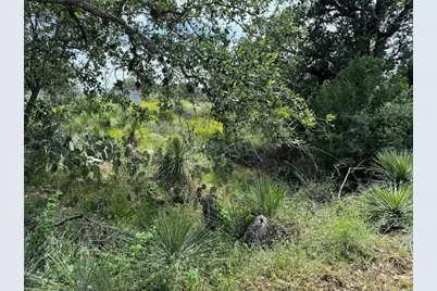 Pid 17064 Sweetbriar Drive, Granite Shoals, TX 78654 - Photo 3