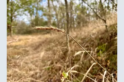 104 E Waiehu Lane, Bastrop, TX 78602 - Photo 15