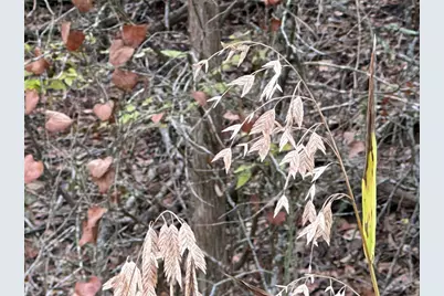 104 E Waiehu Lane, Bastrop, TX 78602 - Photo 17