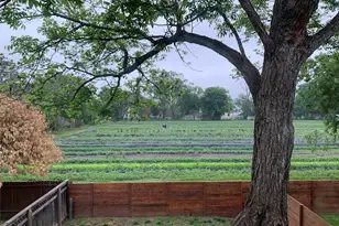 1009 Cherico St, Austin, TX 78702 - Photo 1