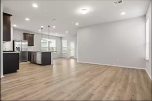 353 Spiny Lizard Ln, San Marcos, TX 78666 - Photo 3