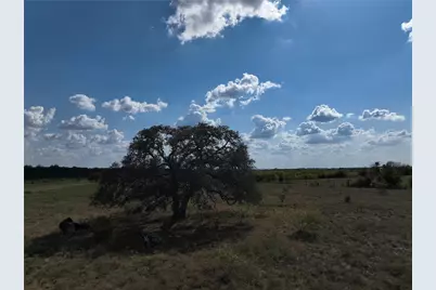 Tbd Lot 3 Tenney Creek Rd Road, Dale, TX 78616 - Photo 13