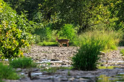 10030 E. US Highway 290, Fredericksburg, TX 78624 - Photo 33