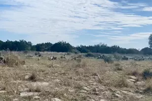 000000 River Shoals Dr, Kempner, TX 76539 - Photo 17