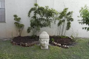 910 Duncan Ln, Austin, TX 78705 - Photo 27