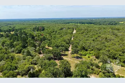 Tbd Ranch Road Off Cr 405 (+/- 60 Acres), Lexington, TX 78947 - Photo 13