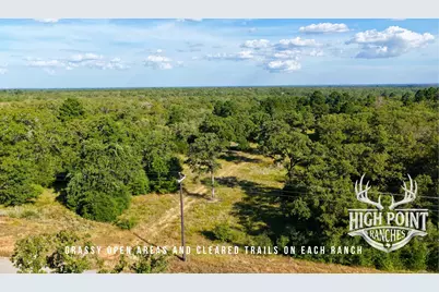 Tbd Ranch Road Off Cr 405 (+/- 60 Acres), Lexington, TX 78947 - Photo 5