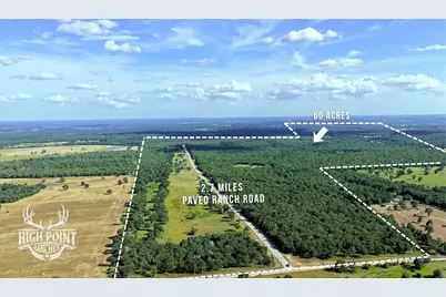 Tbd Ranch Road Off Cr 405 (+/- 60 Acres), Lexington, TX 78947 - Photo 3