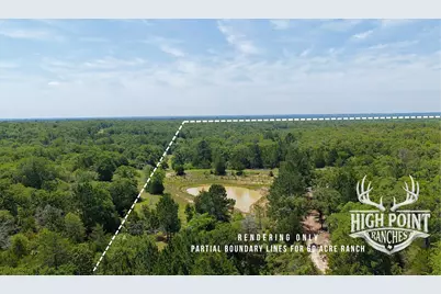 Tbd Ranch Road Off Cr 405 (+/- 60 Acres), Lexington, TX 78947 - Photo 9