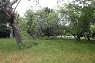 7887 Pettytown Rd, Red Rock, TX 78662 - Photo 17