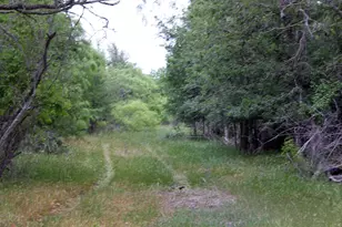 7887 Pettytown Rd, Red Rock, TX 78662 - Photo 11