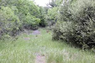 7887 Pettytown Rd, Red Rock, TX 78662 - Photo 9