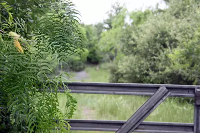 7887 Pettytown Road, Red Rock, TX 78662 - Photo 7