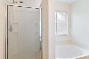 244 Cactus Patch, Selma, TX 78154 - Photo 17