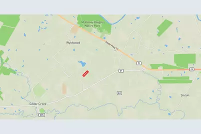 164 Bull Run Road, Cedar Creek, TX 78612 - Photo 39