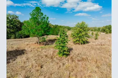 164 Bull Run Road, Cedar Creek, TX 78612 - Photo 35