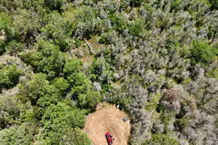 237 Mokulua Ln, Bastrop, TX 78602 - Photo 1