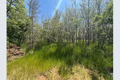 237 Mokulua Lane, Bastrop, TX 78602 - Photo 5