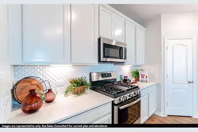 294 Rubber Tree Way, Buda, TX 78610 - Photo 5