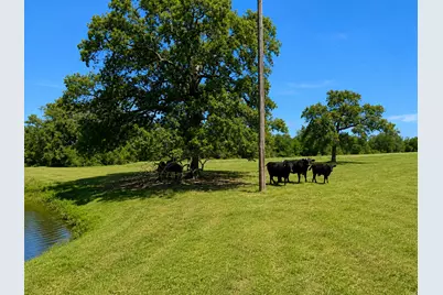 1583 S US Highway 77 Highway, Giddings, TX 78942 - Photo 11