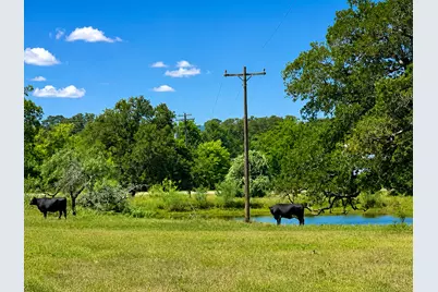 1583 S US Highway 77 Highway, Giddings, TX 78942 - Photo 3