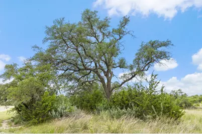 1087 (Lot 49) Stone Ridge Mountain Drive, Round Mountain, TX 78663 - Photo 21