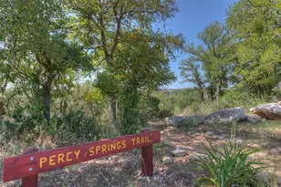 2920 Lynnbrook Dr, Austin, TX 78748 - Photo 37