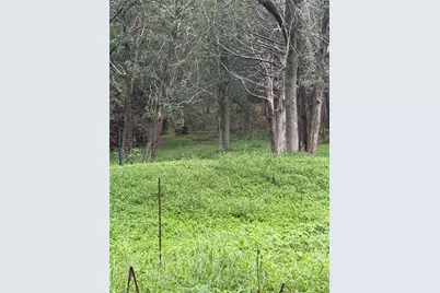 214 The Forest Road, Dale, TX 78616 - Photo 15