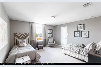 231 Lost Tree Drive, Buda, TX 78610 - Photo 13