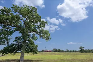 2901-B Mule Creek Rd, Harwood, TX 78632 - Photo 27