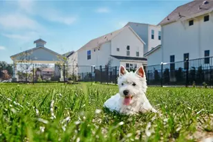 2624 Metcalfe Rd, Austin, TX 78741 - Photo 7