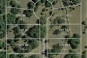 221 Charro Vis Dr, Driftwood, TX 78619 - Photo 3