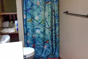 107 Garrett Way, Canyon Lake, TX 78133 - Photo 29