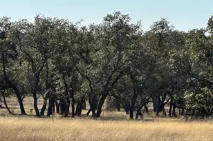 Lot 186 Blackbuck Ridge Dr, Lampasas, TX 76550 - Photo 13