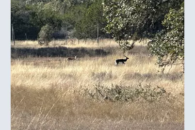 Lot 186 Blackbuck Ridge Drive, Lampasas, TX 76550 - Photo 17