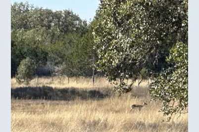 Lot 186 Blackbuck Ridge Drive, Lampasas, TX 76550 - Photo 15