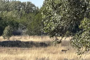 Lot 186 Blackbuck Ridge Dr, Lampasas, TX 76550 - Photo 15