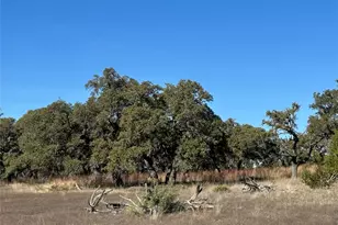 Lot 186 Blackbuck Ridge Dr, Lampasas, TX 76550 - Photo 19