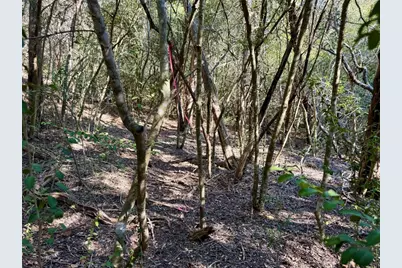 Tbd Lots 1232 & 1233 Hanauma Drive, Bastrop, TX 78602 - Photo 17