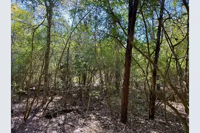 Tbd Lots 1232 & 1233 Hanauma Drive, Bastrop, TX 78602 - Photo 15