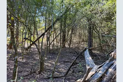 Tbd Lots 1232 & 1233 Hanauma Drive, Bastrop, TX 78602 - Photo 11